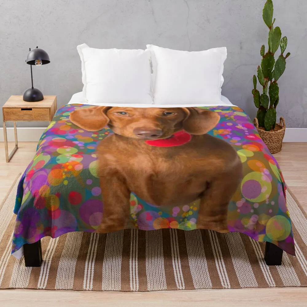 

Яркое двухстороннее одеяло DachshundThrow, пушистое одеяло, Флисовое одеяло