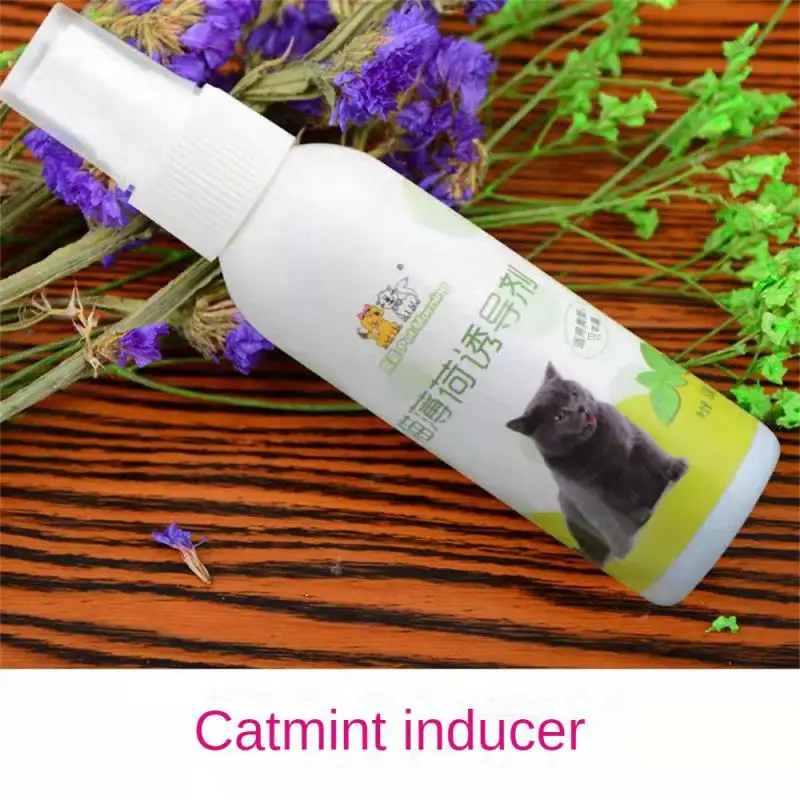 

Catnip Cat Ingredients To Attractant Catnip Spray Healthy Pets For Safe Easy 50ml Use Spray Kittens Cats For Gifts
