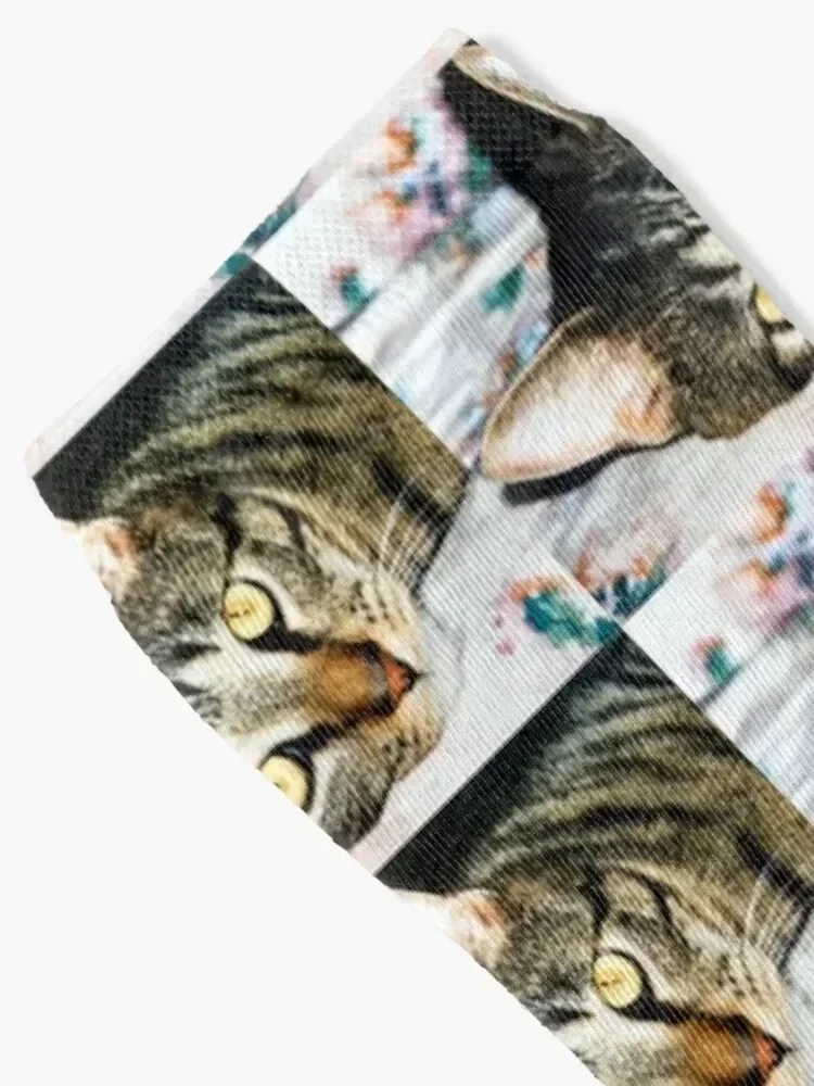 Коричневые носки Tabby Cat крутые мужские до щиколотки женские люксового бренда
