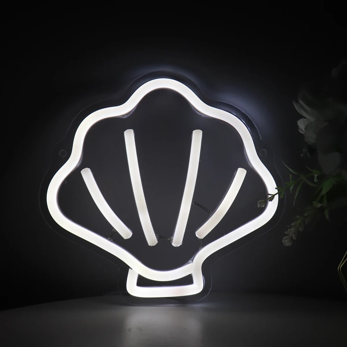 Рисунок 4 - белая раковина, искусство на стену