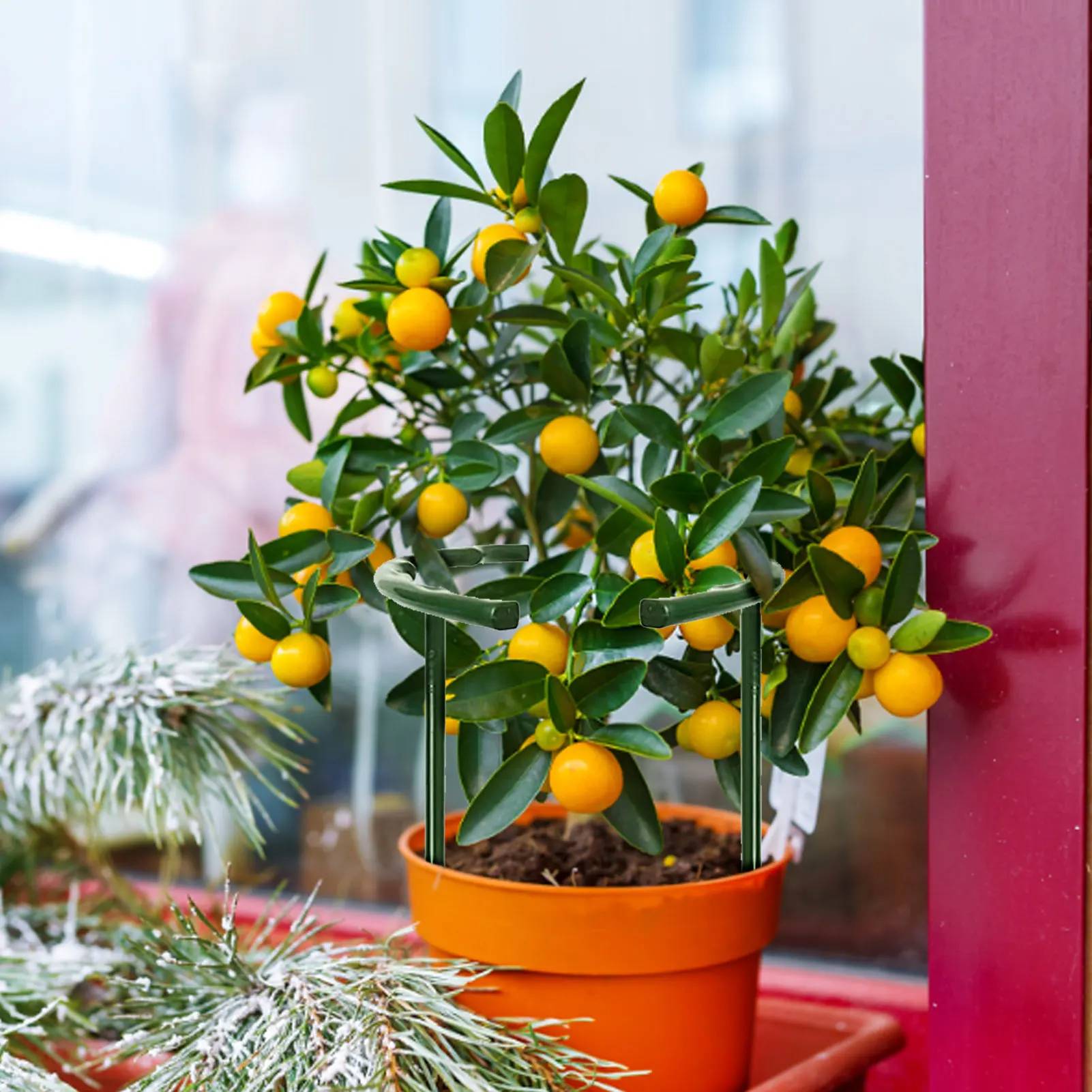 

6/12 Pack Plant Support Stakes Half Round Bow Green Natural Flower Support Ring Cage Frame Plastics Trellis Interlinking Garden