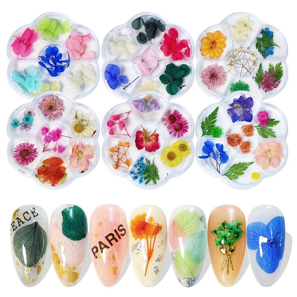 

Nails Decorations 3D Dried Flower 6Grids/ Box Natural Floral Nail Charms Jewelry Set Nail Supplies for Professionals Accessories