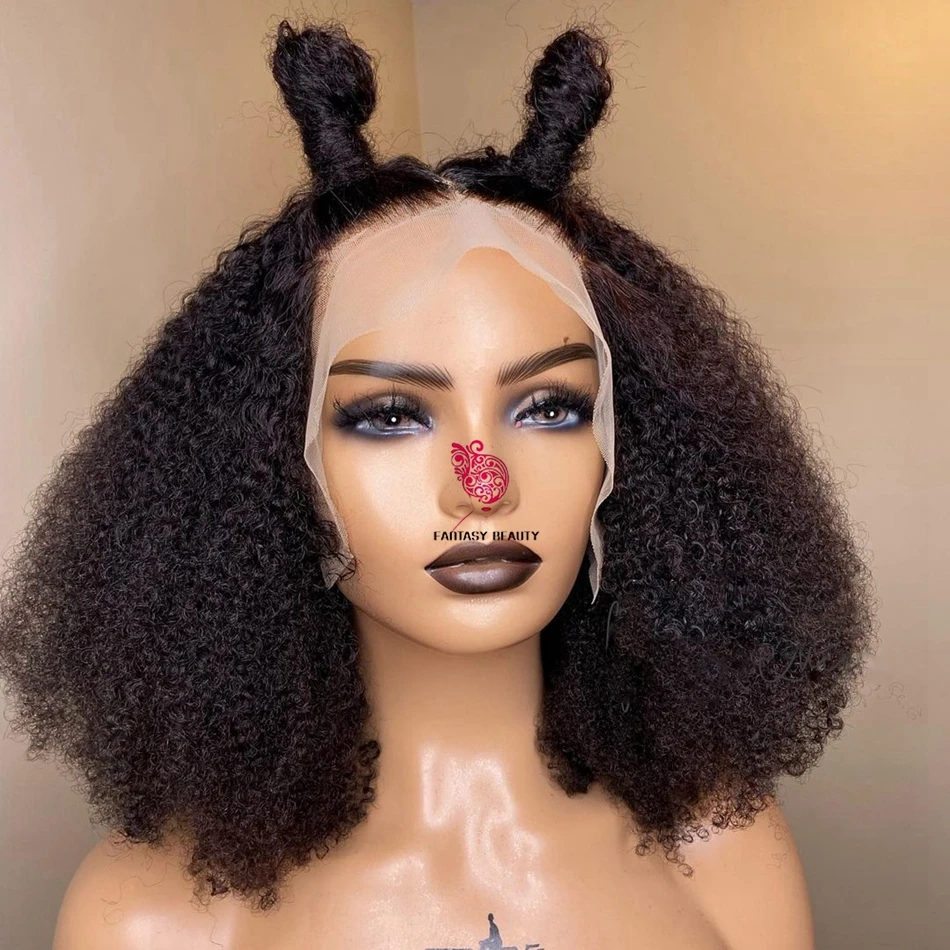 

Synthetic Afro Kinky Curly Pre Plucked Hairline Lace Front Wig for Black Women 13x3 Lace Front Wigs Heat Resistant Fiber Hair