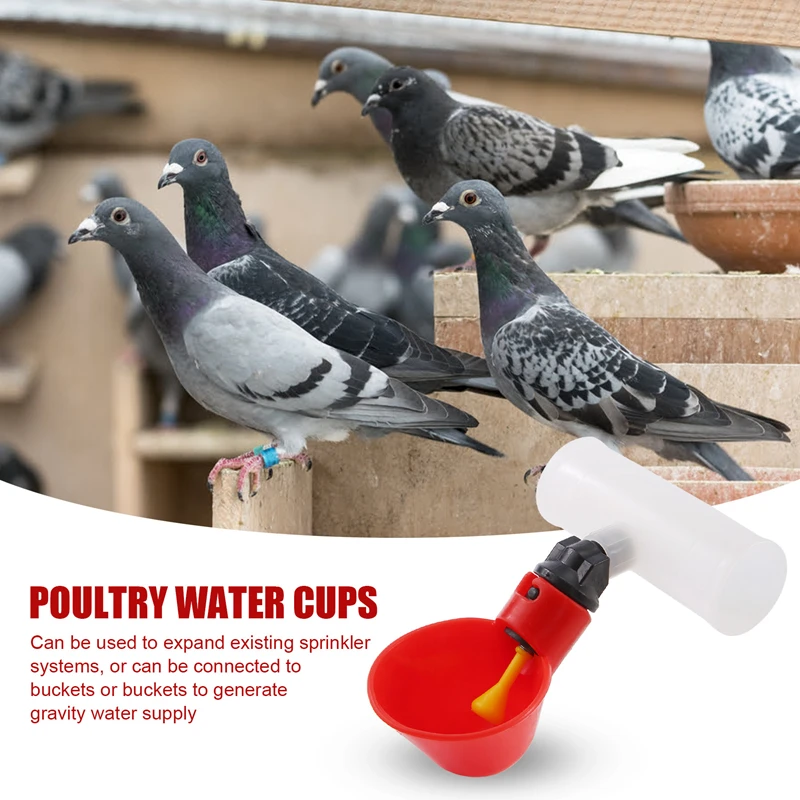 SEWS-Питье для курицы 10 шт. автоматическая поилка красная пластиковая утки птицы