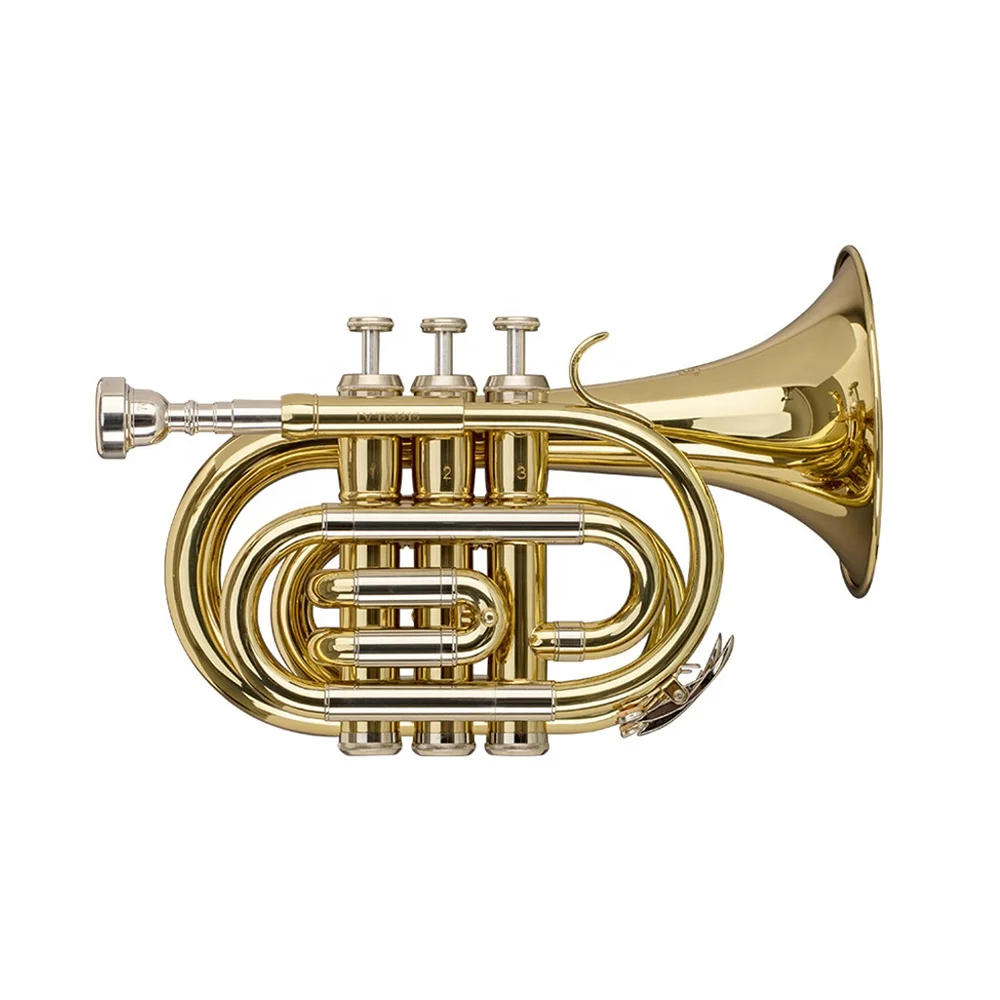 

SEASOUND OEM Top Sale Professional Bigger Bell Mini Pocket Trumpet Instrument JYPT407