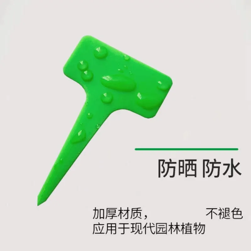 Семена semillas на заказ овощной цветок в горшке этикетка идентификационная