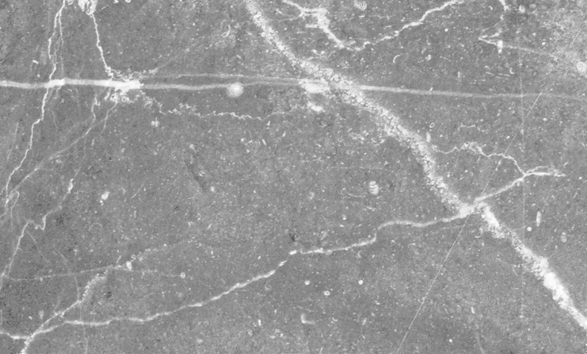 Фотообои на заказ Настенные обои для детской комнаты гостиной телевизора дивана