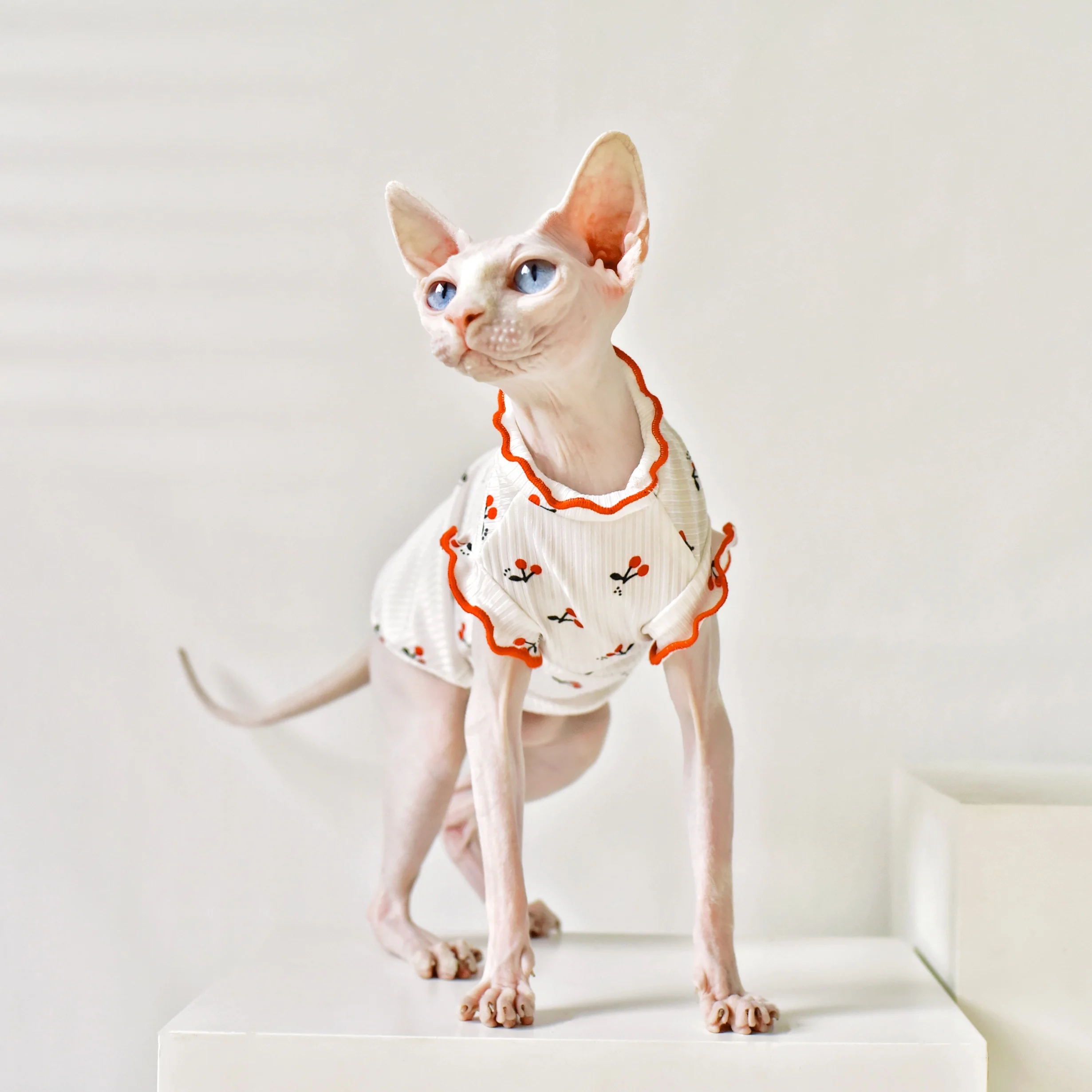 

Summer thin sleeveless Sphinx hairless cat clothes German cat costume sphynx cat clothes Kitten Outfits Vest clothes for cats
