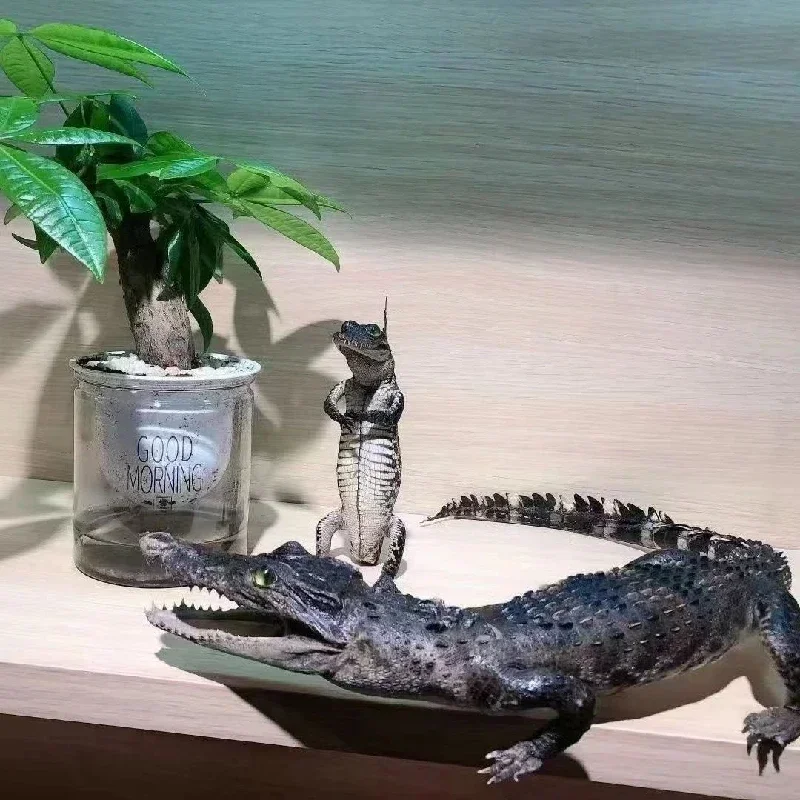 2199 оригинальный образец крокодила для ползания индивидуальный Готический