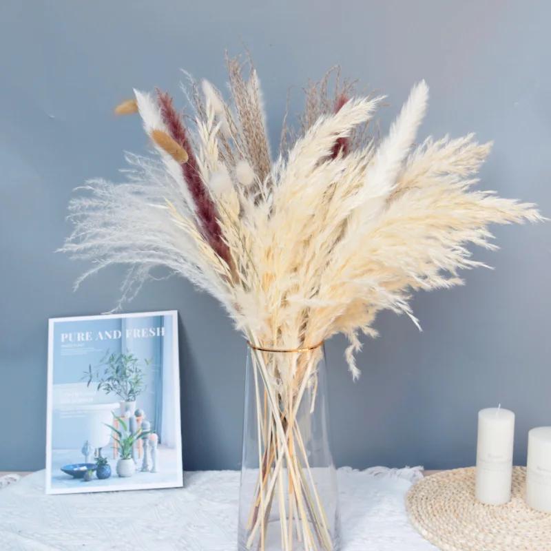 

Pampas Grass Decor White Color Natural Dried Flowers Fluffy Bleached Bouquet Boho Vintage Style for Wedding Home Christmas Decor