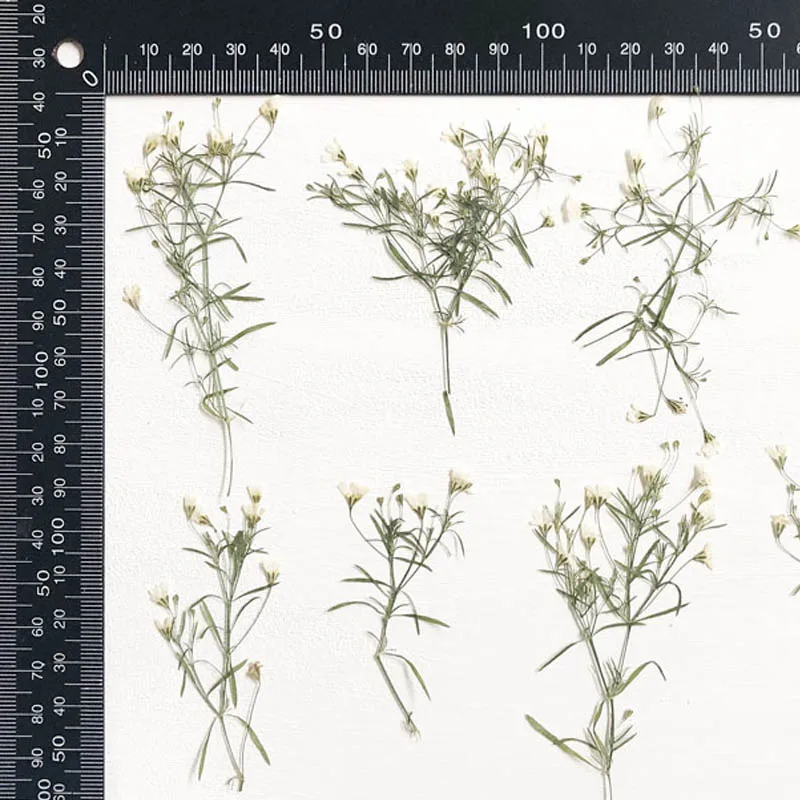 60 шт. фотоэлемент для изготовления украшений |