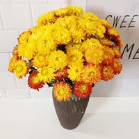 20pcs dried chrysanthemum strawflower home decoration photography diy flowers material real daisy flower for arrangement