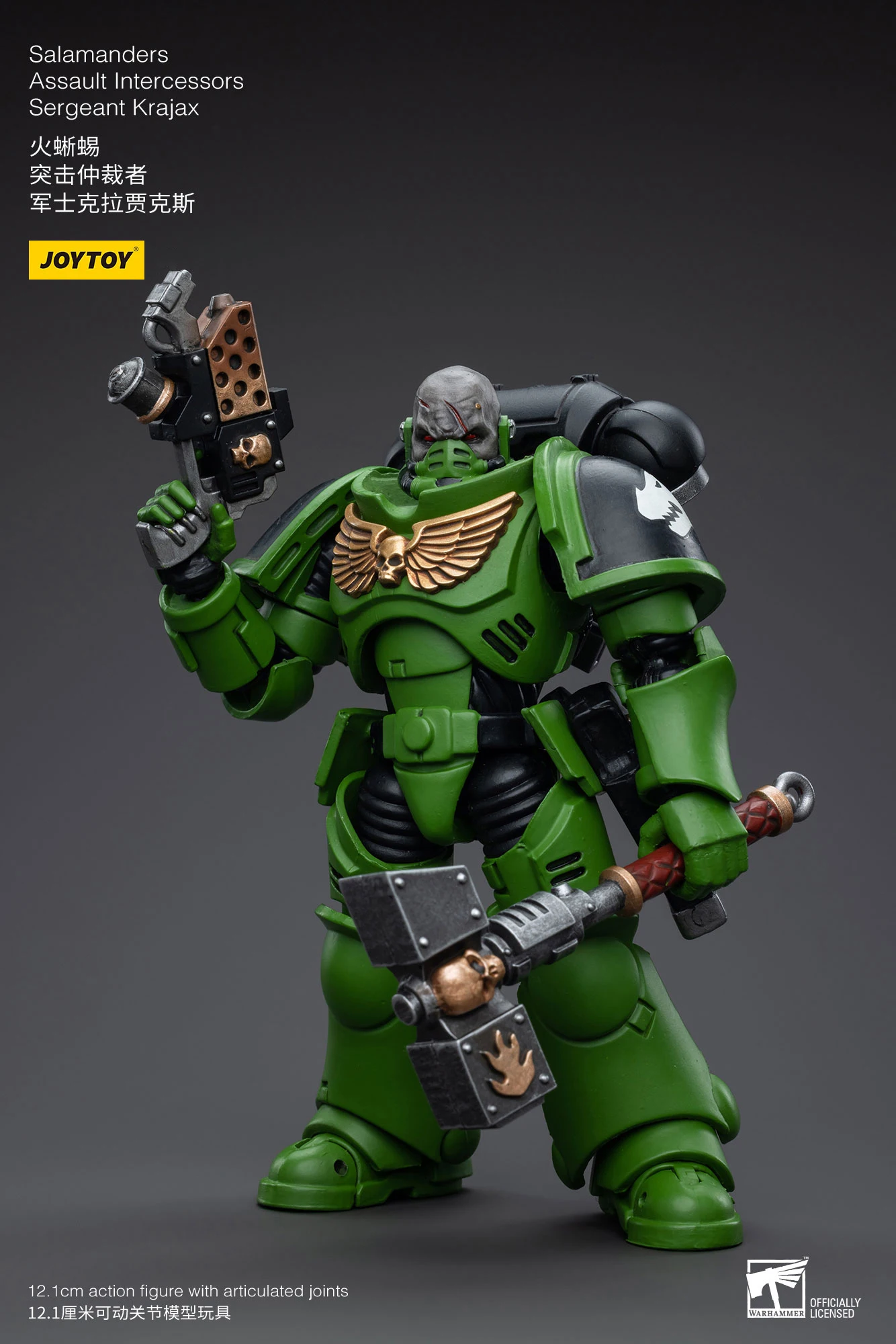 JOYTOY 40K 1/18 Salamanders Intercessors Sergeant Krajax Tsek'gan Brother Haecule Tol'vak Фигурка Модель Подарок для