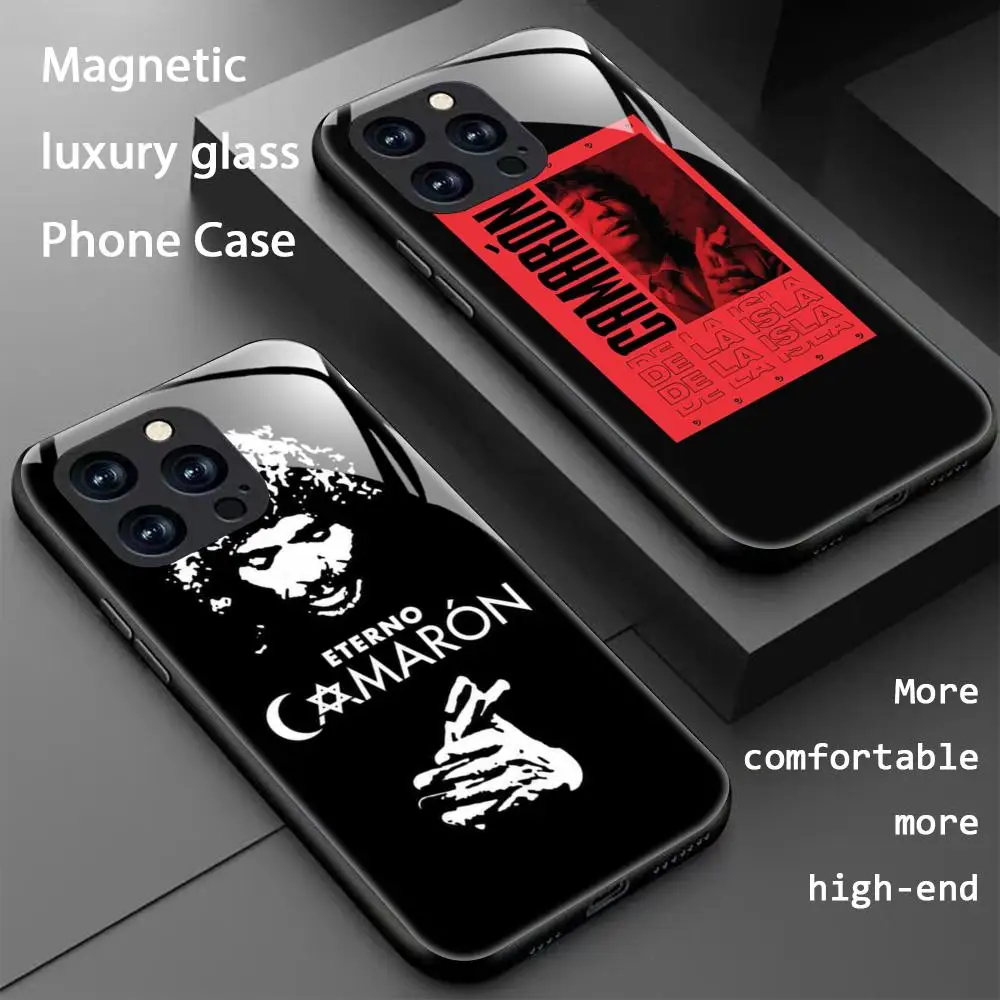 Фото Чехол для телефона Singer C-Camaron D-DelaIslas для iPhone 17 16 15 14 13 12 11 X XR XS 8 Plus Mini Pro Max, стеклянный магнитный чехол №1