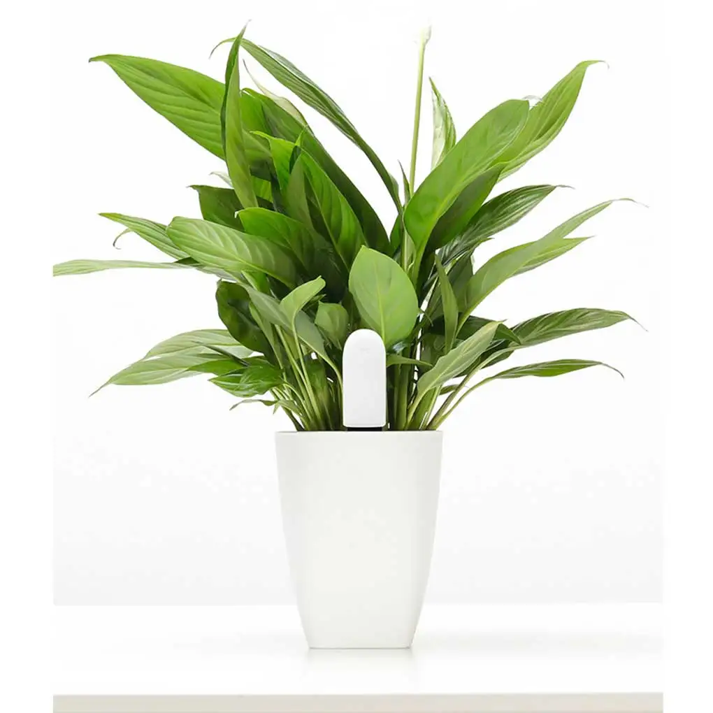 

Smart Soil Moisture Meter App Control Gauge Tester Flowerpot Testing