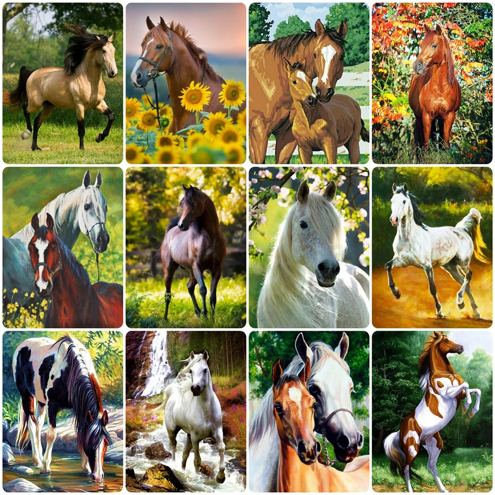 

HUACAN Paint By Numbers Sunflower Wall Art Unique Gift Home Decor Hand Painted Coloring By Numbers Horse For Living Room