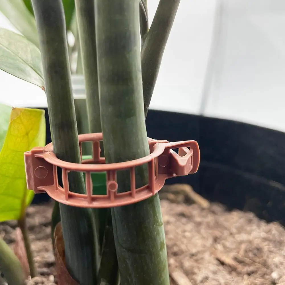

100pcs Garden Clip Set Greenhouse Tomato Stem Support Clips Plastic Clip Growth Plant Clip Clamp Plants Plant Tomato Clamp S8i4