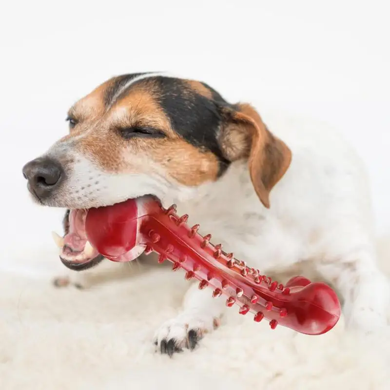 

Dog Bone Teething Toy Ruber Chewing Dog Toy Grinding Teeth Cleaning Bite-Resistant Toy Interactive Game Pet Supplies Accessories