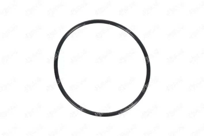 

Fuel pump gasket for 21625