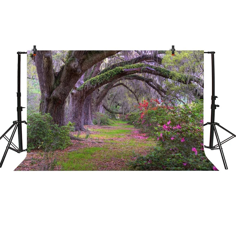 

Garden Park Outdoor Scenery Backdrop for Photography Old Magic Tree Lined Path Flowers Beautiful Forest Jungle for Party Banner
