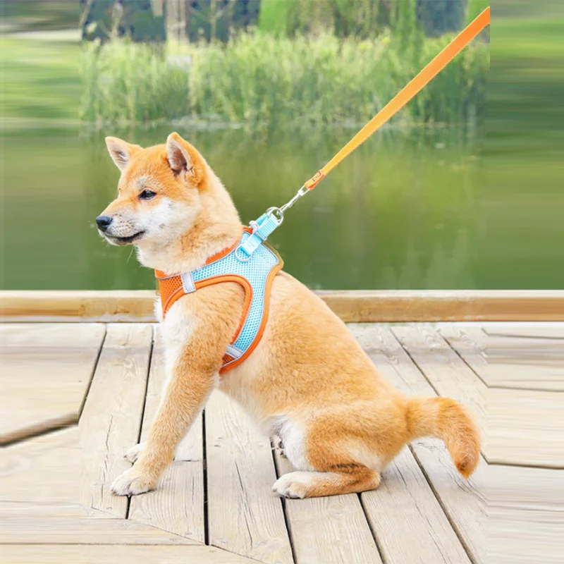 

Reflective Dog Chest Strap Vest Breathable Colorful Mesh Pet Leash For Walking The Dog Cat Outdoor Pet Accessories Hot 2022