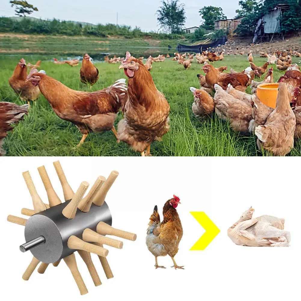 

Chicken Feather Plucker Machine Poultry Debeater Chicken Rooster Poultry Drill Feather Goose Remover Plucker Attachment Duc O8X7