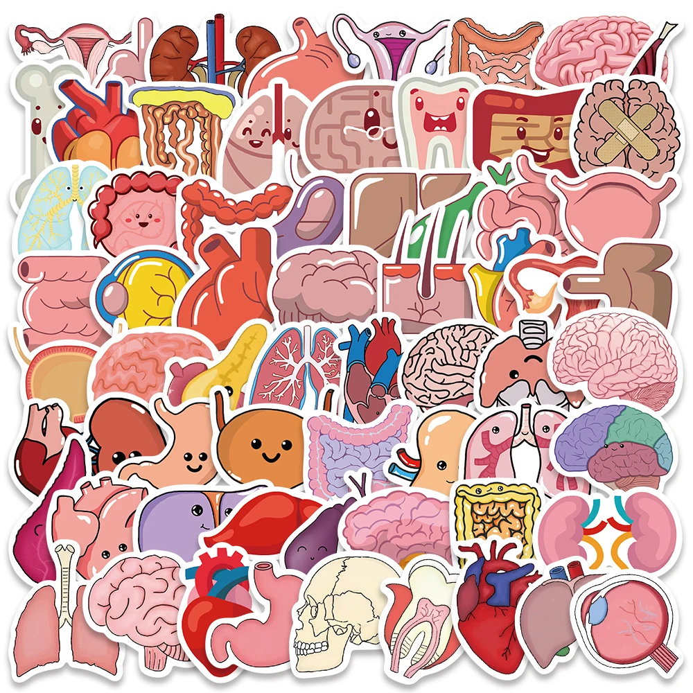 

10/65Pcs Organ Cartoon Stickers Heart Stomach Brain Decals Vinyl Waterproof For Laptop Guitar Skateboard Scrapbook Cars Sticker