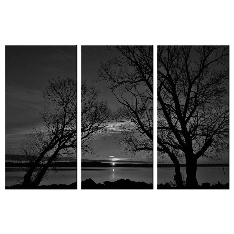 

3 Pieces Big Trees Home Decor Poster Black and White Scenery Canvas Painting Modern Style Picture Living Room Wall Art