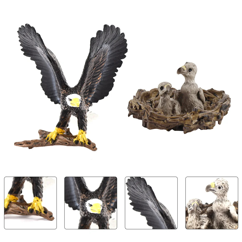 

Eagletoys Animal Animals Modelsdecorfigurines Model Adornments Kids Educational Figure Figurine Statue Sculpture Ornament