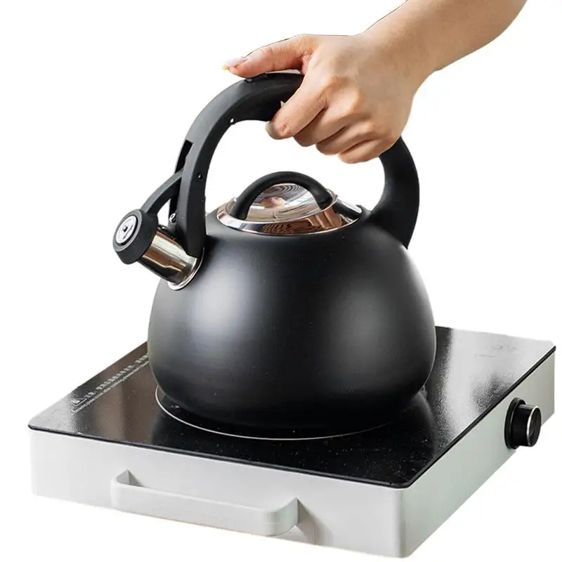 

Чайник чайный из нержавеющей стали со свистком, 2,5 л