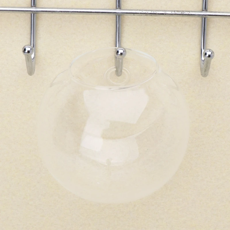 Стеклянная Ваза Настенный Гидропонный Террариум Аквариумы Горшечные Растения