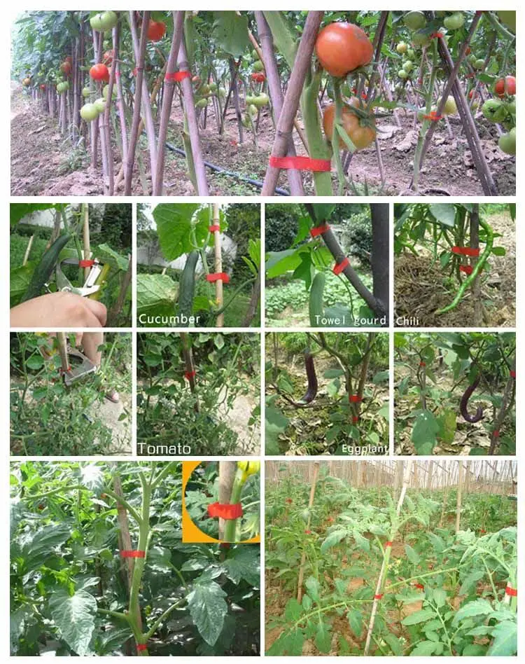 Подвязочный инструмент для сада машинка ручной подвязки растений овощей в