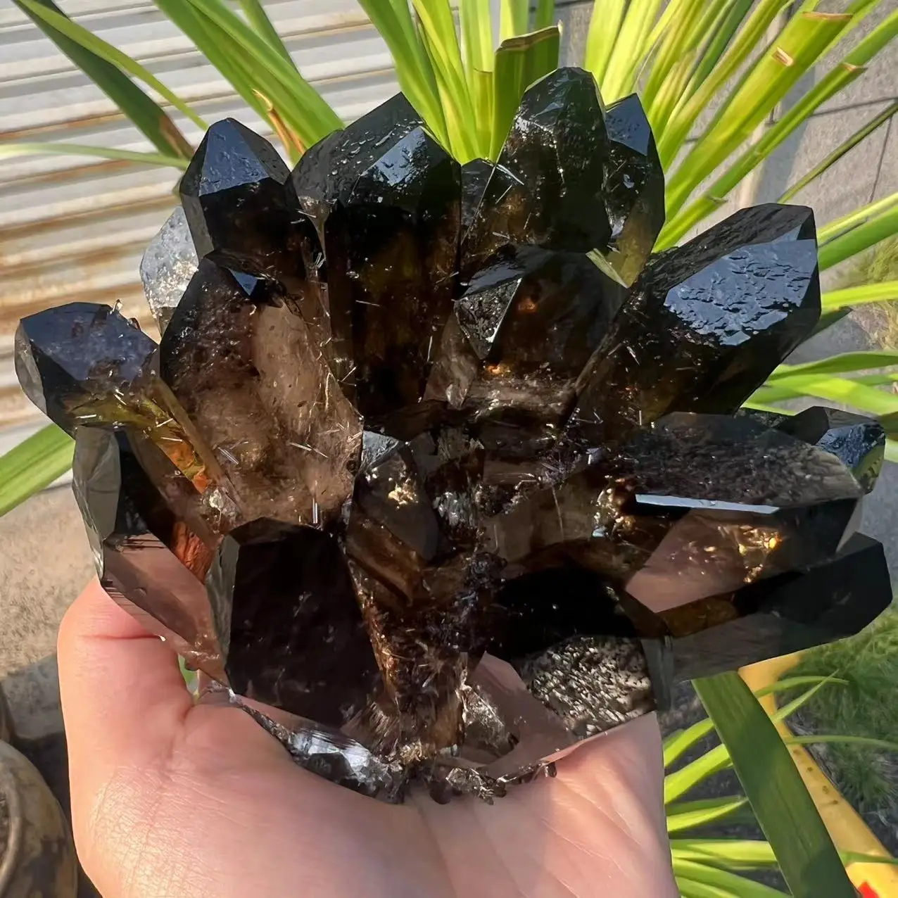 Натуральный дымчатый черный кварц 852 г