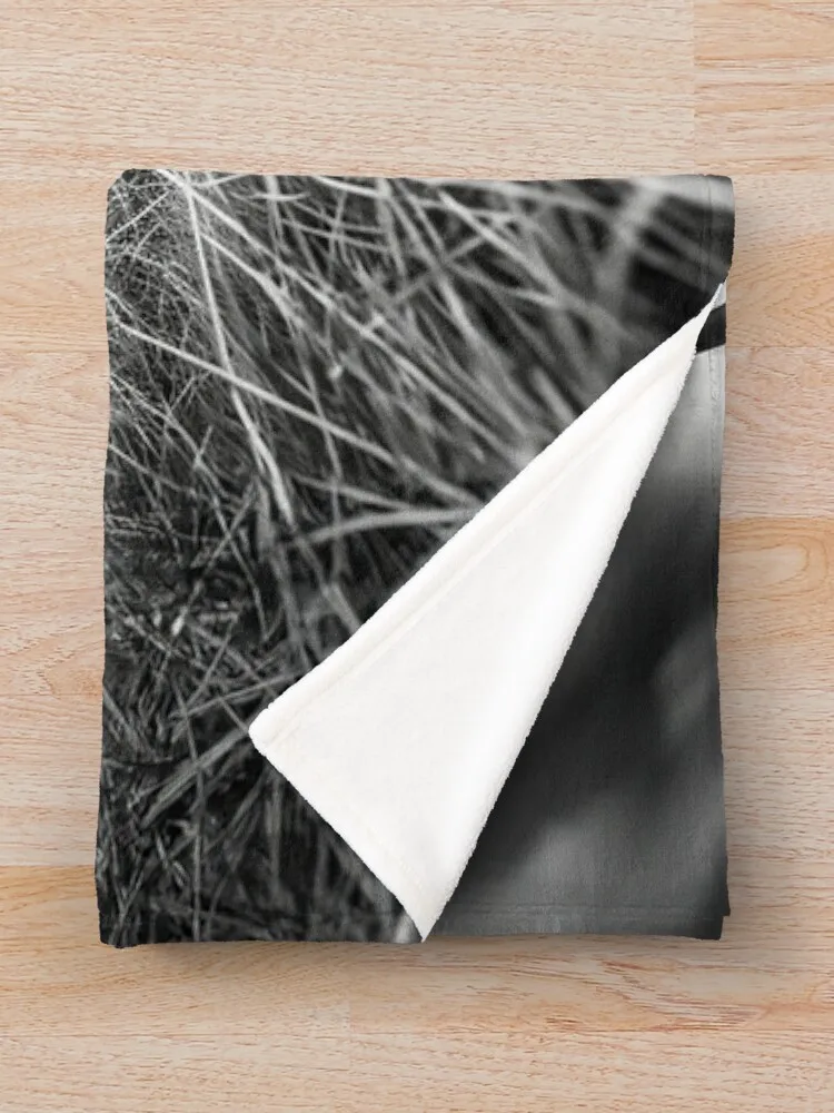 Черно-белая сумка-тоут в деревенском стиле бохо Highland Cow от NoarusRainbowLand - милое одеяло