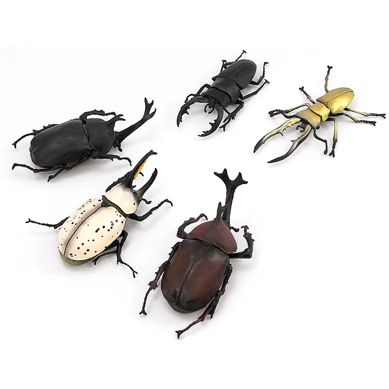 

Insect Series Beetle Model EX GASHAPON Unicorn Stag Beetle Action Figure Simulation Model Ornament Toys
