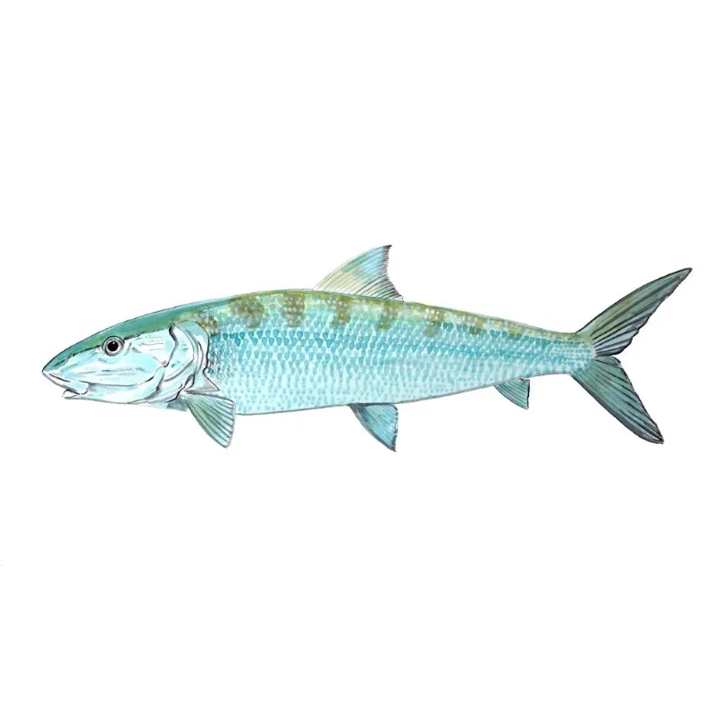 

Автомобильные наклейки, виниловые наклейки с костями рыбы, грузовики, корабли, автомобили, 13 см, ПВХ KK