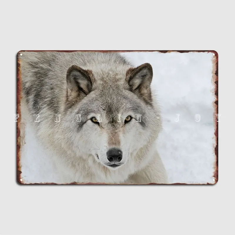 

Wolf Portrait Metal Sign Cave Pub Plaques Wall Mural Retro Tin Sign Poster