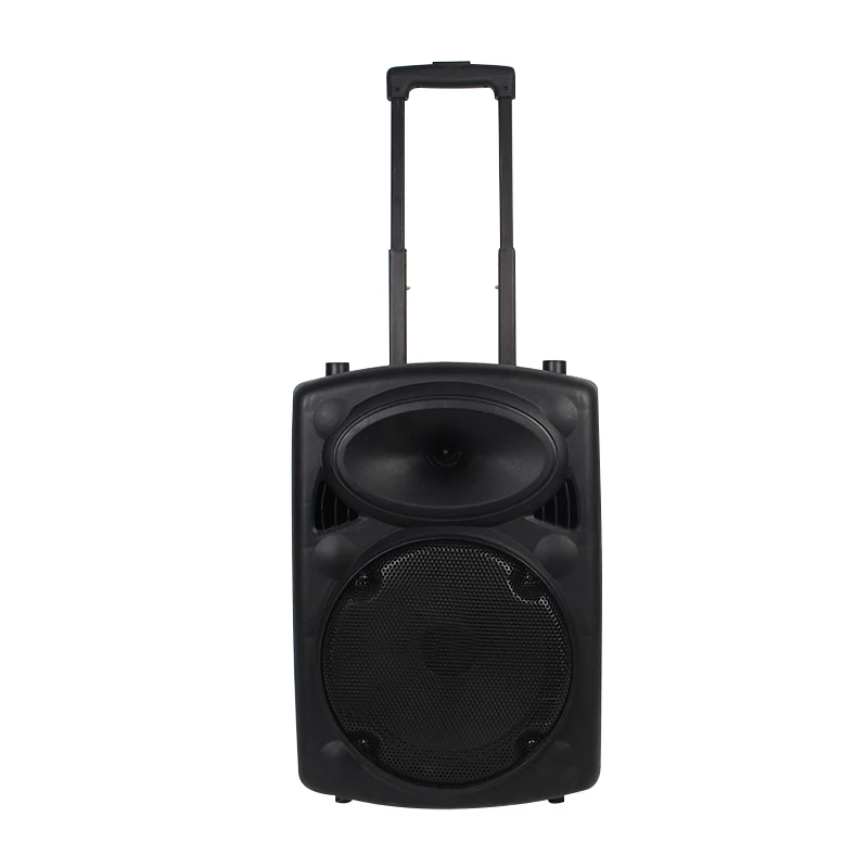 

10 Inch Dj Portable Box Rechargeable Woofer Trolley BT Speaker