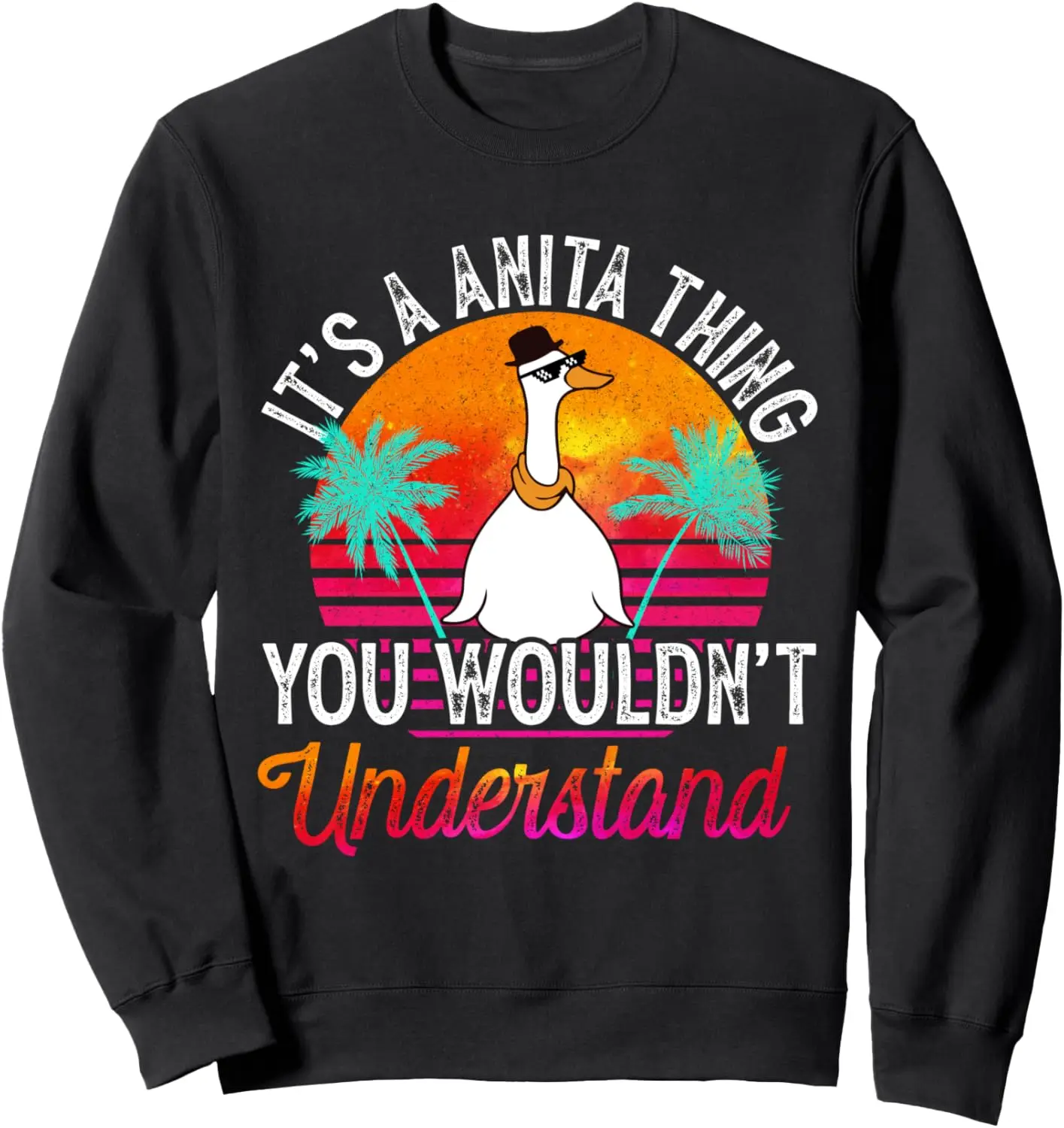 Это вещь анита вы не понимаете. Толстовка с забавным именем аниты.