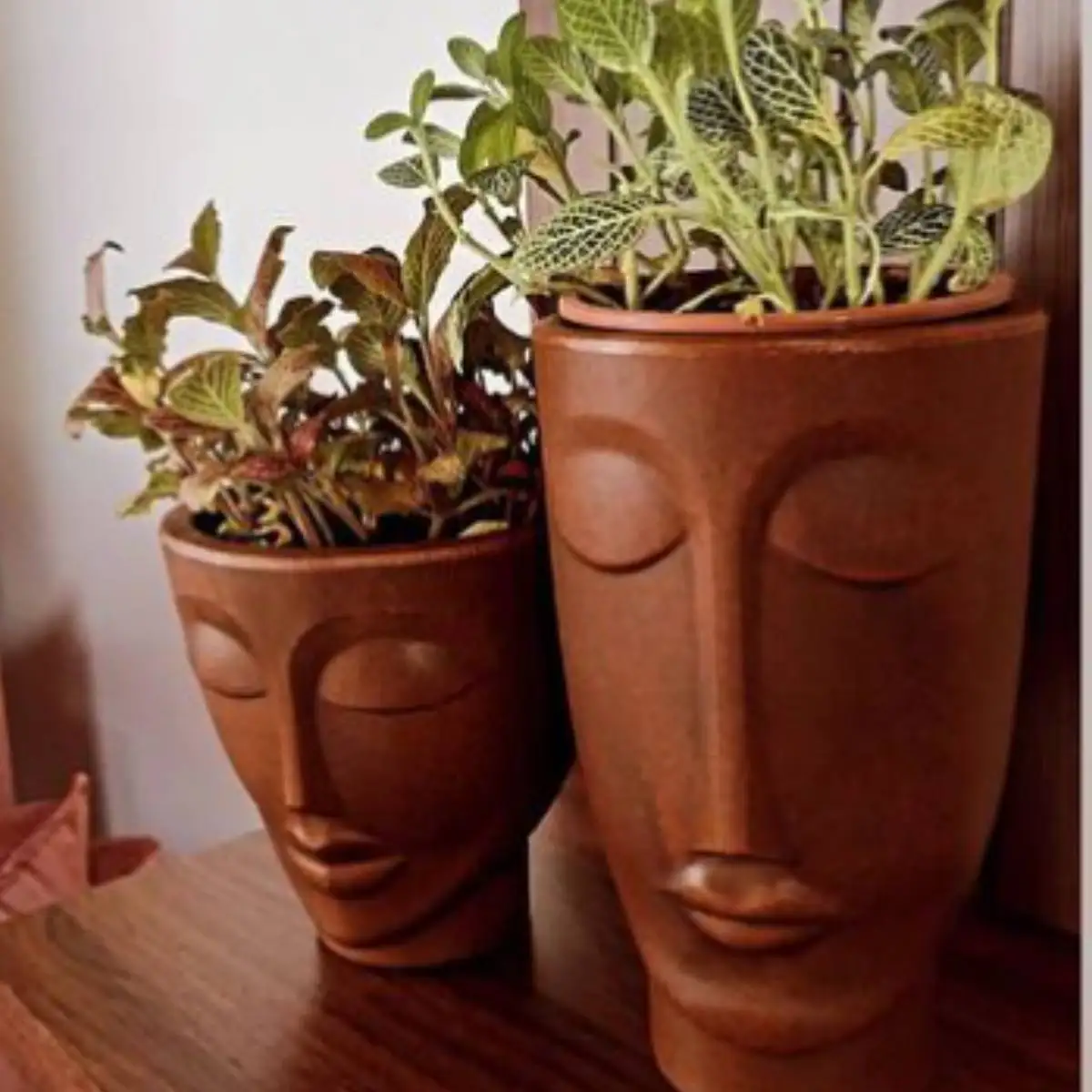 Женское лицо ВАСО 17 (2 19л) питаплан императорское кафе