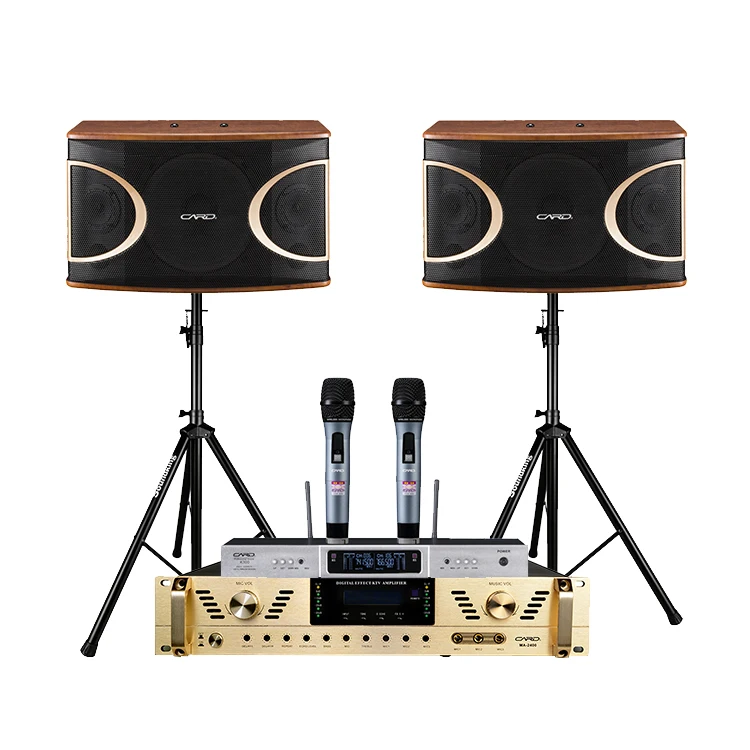 

CARD professional 10 inch 3 way 8 ohm 150w home Karaoke party sound system