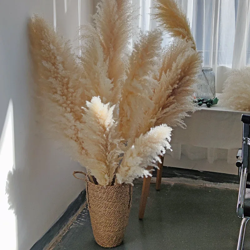 

120cm Pampas Grass Large Tall xxl Fluffy Pampas Dried Flowers Boho Decor Planta for Vase Home Wedding Decor Flower Arrangement