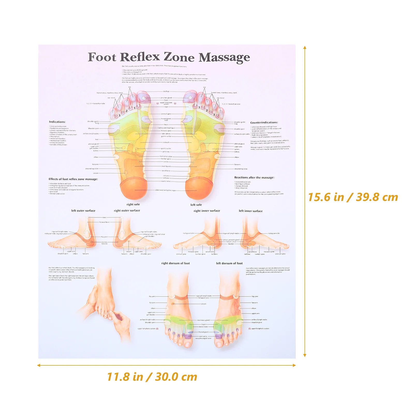 Плакат с рефлексологией стопы домашний декор массажная диаграмма для