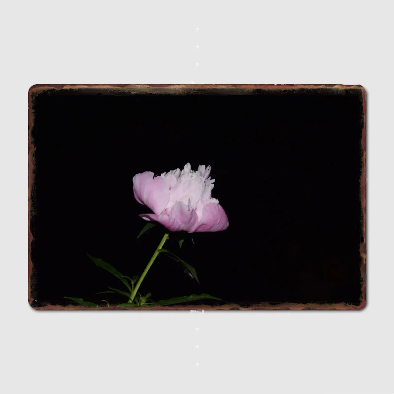 

Pink Flower on Black Night Sky Metal Plaque Poster Garage Decoration Living Room Cinema Living Room Custom Tin Sign Poster