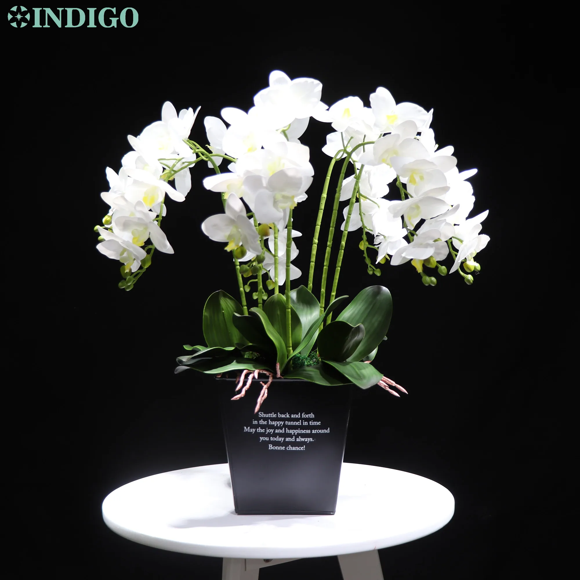 White Orchid (7Pcs Orchid+5Pcs Leaves+Moss+Pot) DIY Flower Arrangment Real Touch Office Decoration Centerpiece INDIGO Aliexpres