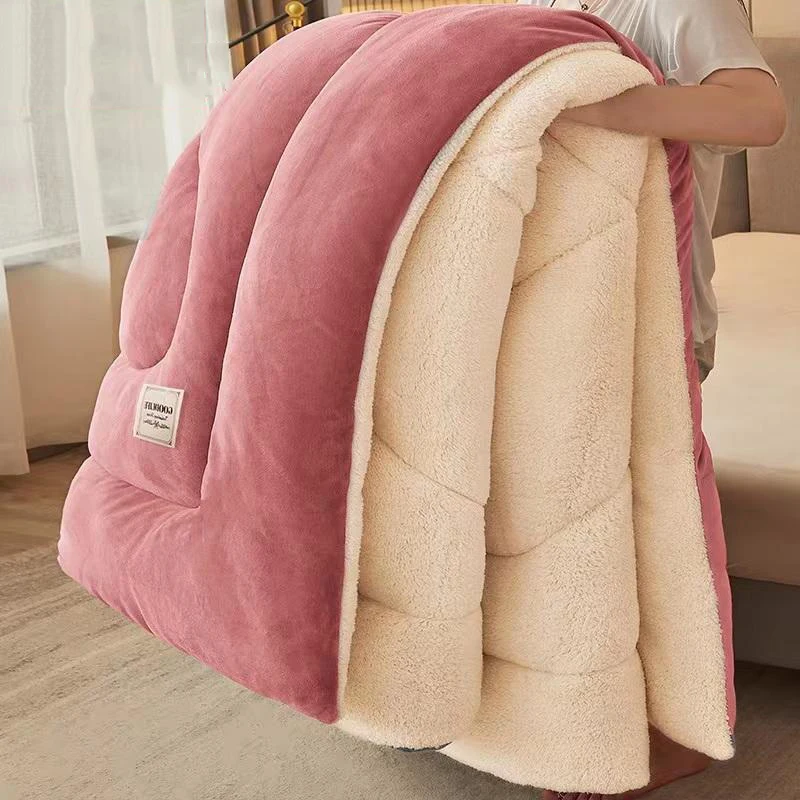 

Lamb velvet winter quilt double-sided velvet quilt autumn spring thickened warm comforter student dormitory quilt core