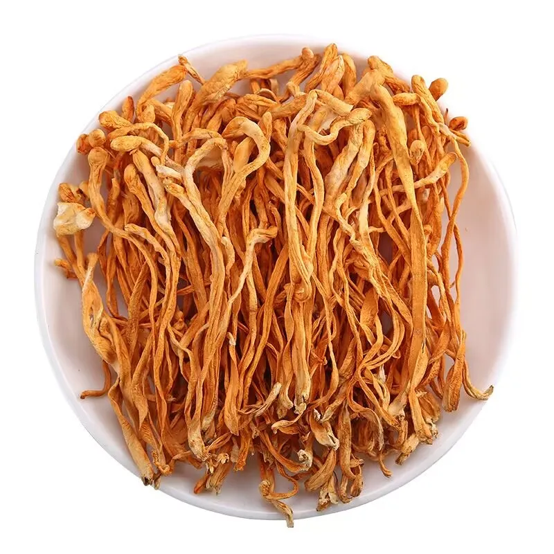 

Сушеные цветы кордицепса