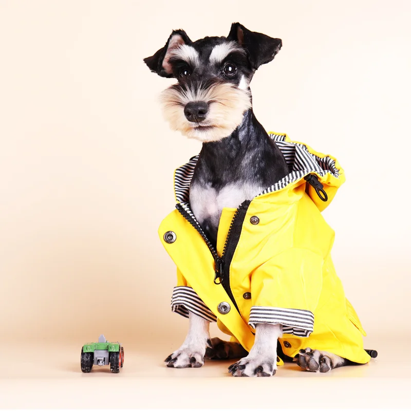 

Водонепроницаемый дождевик для собак, куртка для домашних животных, ветровка бульдог, пудель, мопс, Бишон, щенок, пальто, дождевик, искусственная кожа, дождевик высокого качества для собак