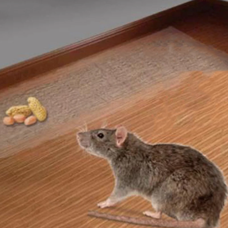 Мощная Бытовая Наклейка-ловушка Для Мыши Невидимый Волшебный Ковер