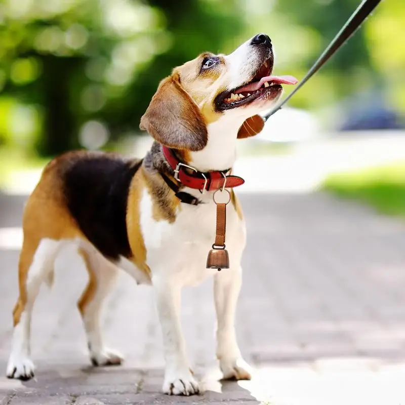 Сигнализация колокольчик с медведем предупреждение на открытом воздухе чтобы